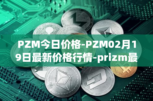 PZM今日价格-PZM02月19日最新价格行情-prizm最新走势消息