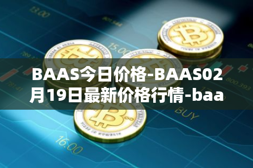 BAAS今日价格-BAAS02月19日最新价格行情-baasid最新走势消息