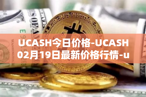 UCASH今日价格-UCASH02月19日最新价格行情-ucash最新走势消息