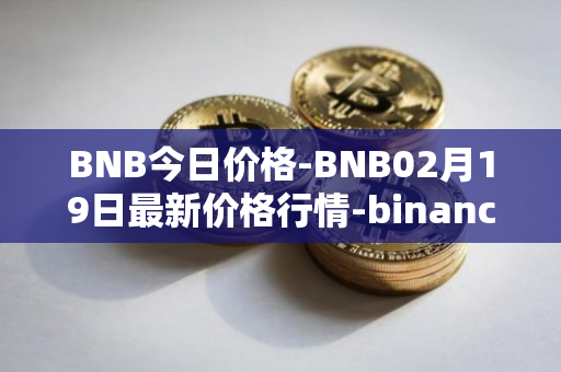 BNB今日价格-BNB02月19日最新价格行情-binance-coin最新走势消息