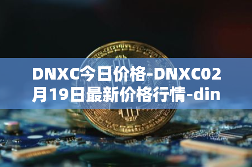 DNXC今日价格-DNXC02月19日最新价格行情-dinox最新走势消息