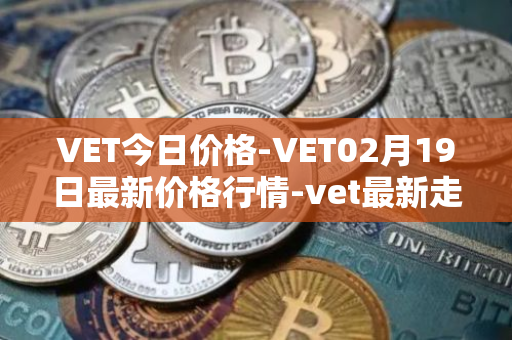 VET今日价格-VET02月19日最新价格行情-vet最新走势消息