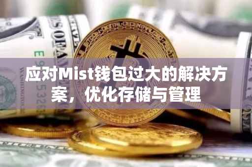 应对Mist钱包过大的解决方案，优化存储与管理