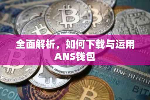 全面解析，如何下载与运用ANS钱包