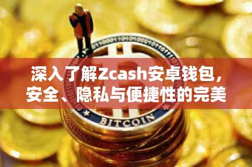 深入了解Zcash安卓钱包，安全、隐私与便捷性的完美结合