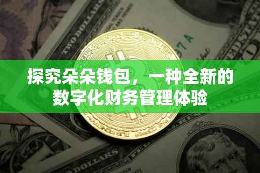 探究朵朵钱包，一种全新的数字化财务管理体验