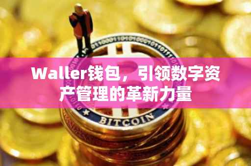 Waller钱包，引领数字资产管理的革新力量