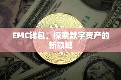 EMC钱包，探索数字资产的新领域