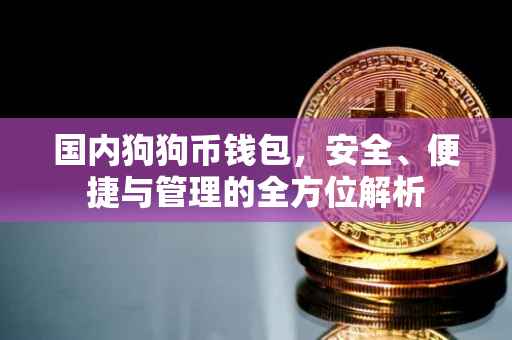 国内狗狗币钱包，安全、便捷与管理的全方位解析