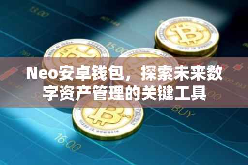 Neo安卓钱包，探索未来数字资产管理的关键工具