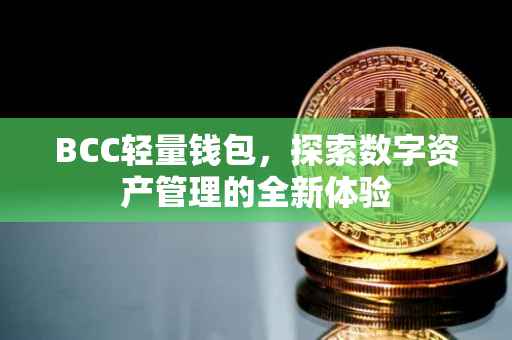 BCC轻量钱包，探索数字资产管理的全新体验