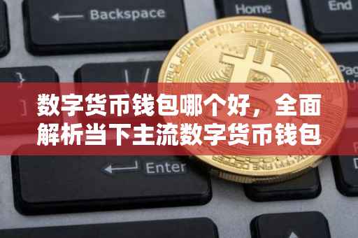 数字货币钱包哪个好，全面解析当下主流数字货币钱包的优劣
