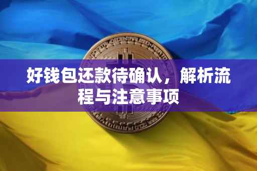 好钱包还款待确认，解析流程与注意事项
