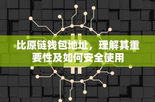 比原链钱包地址，理解其重要性及如何安全使用