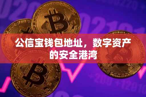 公信宝钱包地址，数字资产的安全港湾
