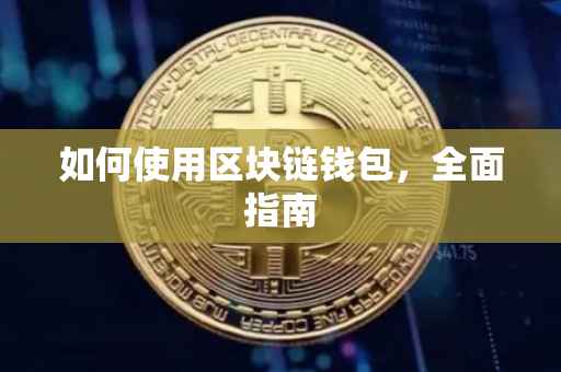 如何使用区块链钱包，全面指南