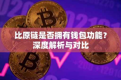 比原链是否拥有钱包功能？深度解析与对比