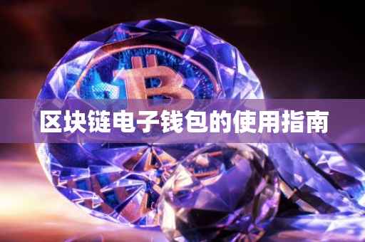 区块链电子钱包的使用指南