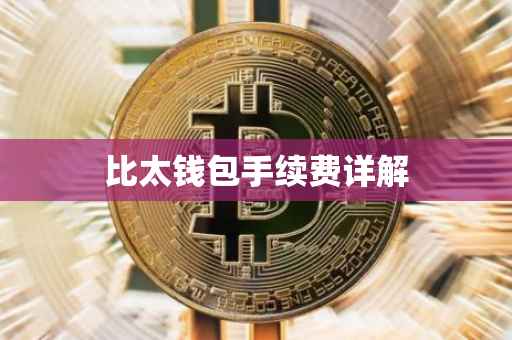 比太钱包手续费详解