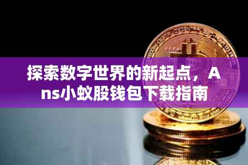 探索数字世界的新起点，Ans小蚁股钱包下载指南
