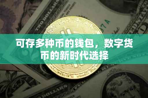 可存多种币的钱包，数字货币的新时代选择