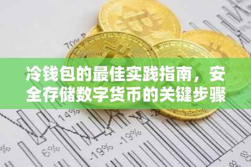 冷钱包的最佳实践指南，安全存储数字货币的关键步骤