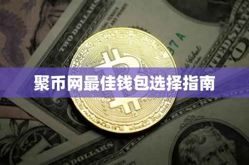 聚币网最佳钱包选择指南