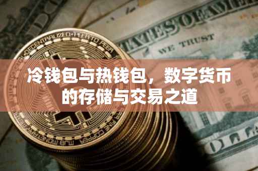 冷钱包与热钱包，数字货币的存储与交易之道