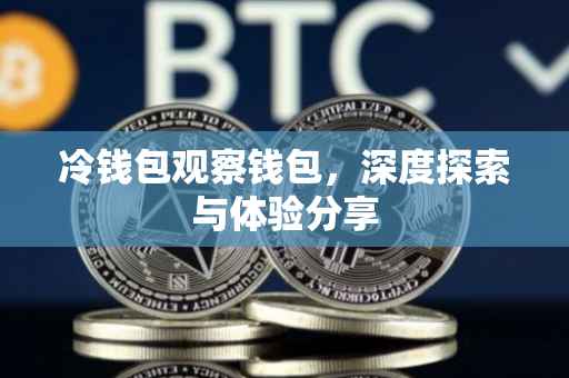 冷钱包观察钱包，深度探索与体验分享