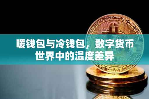 暖钱包与冷钱包，数字货币世界中的温度差异