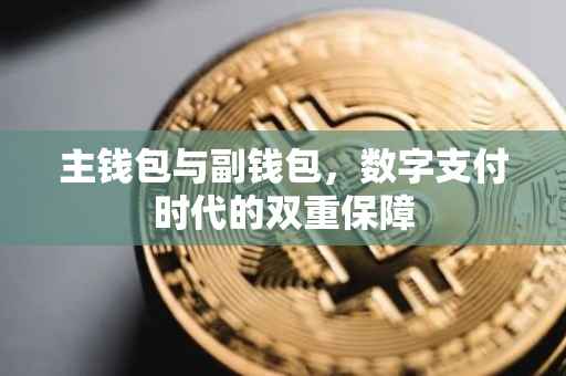 主钱包与副钱包，数字支付时代的双重保障