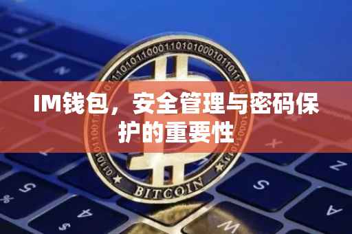 IM钱包，安全管理与密码保护的重要性