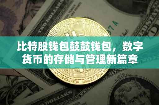 比特股钱包鼓鼓钱包，数字货币的存储与管理新篇章