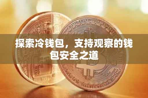 探索冷钱包，支持观察的钱包安全之道