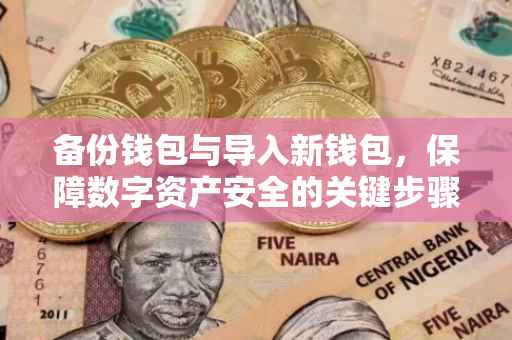 备份钱包与导入新钱包，保障数字资产安全的关键步骤