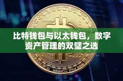 比特钱包与以太钱包，数字资产管理的双璧之选