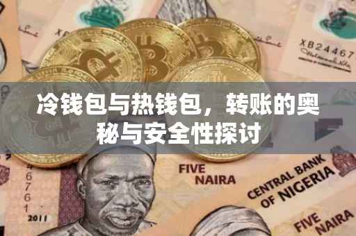 冷钱包与热钱包，转账的奥秘与安全性探讨