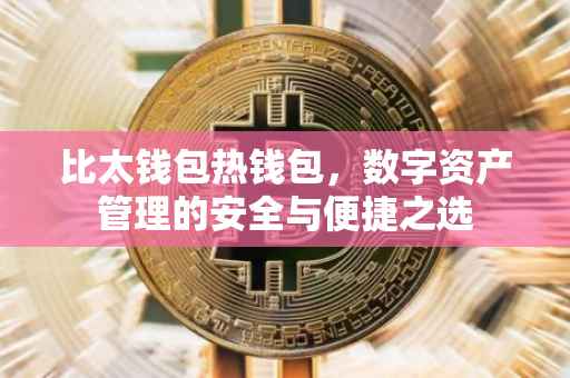 比太钱包热钱包，数字资产管理的安全与便捷之选