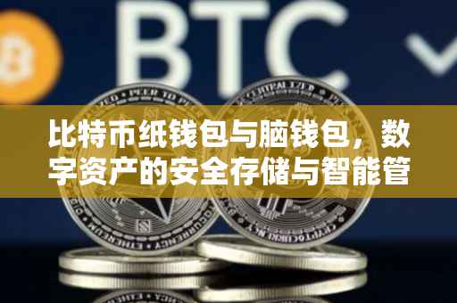 比特币纸钱包与脑钱包，数字资产的安全存储与智能管理
