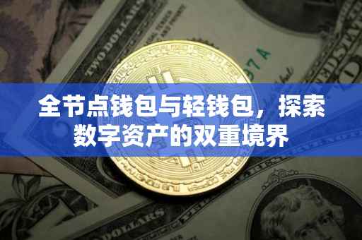 全节点钱包与轻钱包，探索数字资产的双重境界