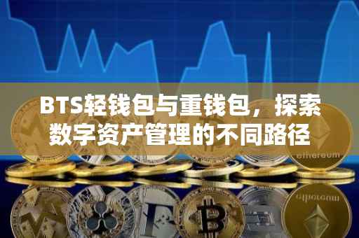 BTS轻钱包与重钱包，探索数字资产管理的不同路径