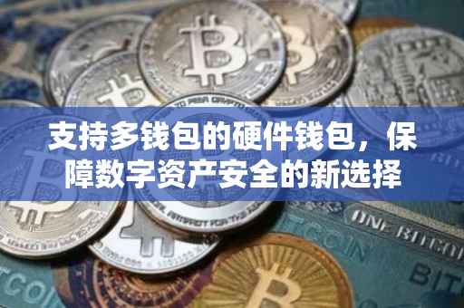 支持多钱包的硬件钱包，保障数字资产安全的新选择