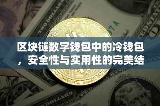 区块链数字钱包中的冷钱包，安全性与实用性的完美结合