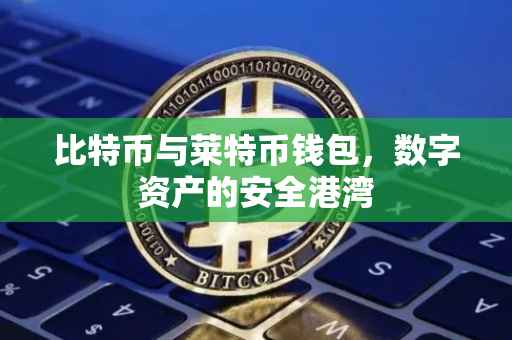 比特币与莱特币钱包，数字资产的安全港湾