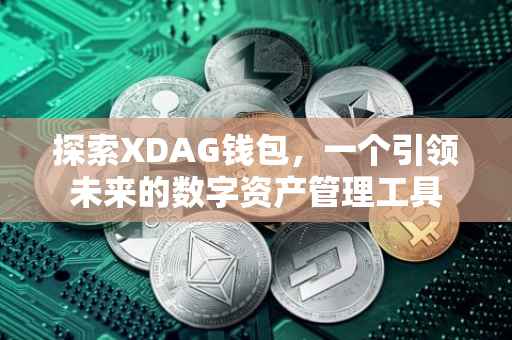 探索XDAG钱包，一个引领未来的数字资产管理工具