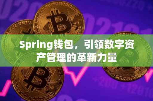 Spring钱包，引领数字资产管理的革新力量