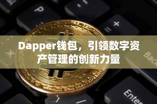 Dapper钱包，引领数字资产管理的创新力量