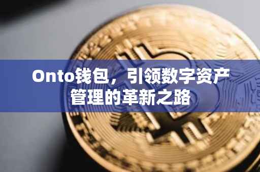 Onto钱包，引领数字资产管理的革新之路