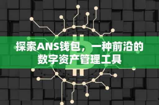 探索ANS钱包，一种前沿的数字资产管理工具