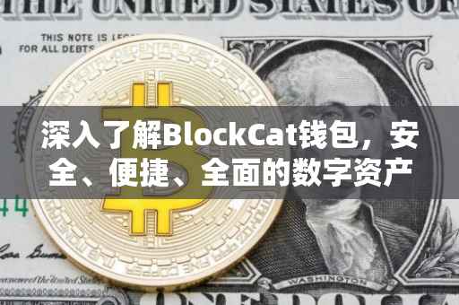 深入了解BlockCat钱包，安全、便捷、全面的数字资产管理工具